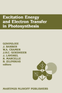 Excitation Energy and Electron Transfer in Photosynthesis: Dedicated to Warren L. Butler