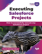 Executing Salesforce Projects: How to successfully execute any Salesforce project (English Edition)