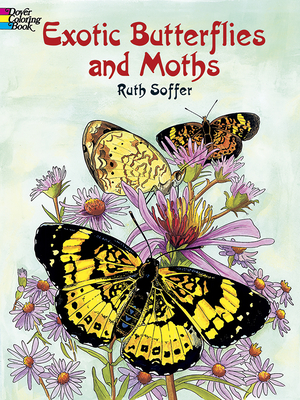 Exotic Butterflies and Moths Coloring Book - Soffer