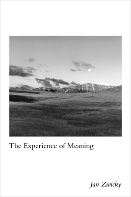 Experience of Meaning - Zwicky, Jan