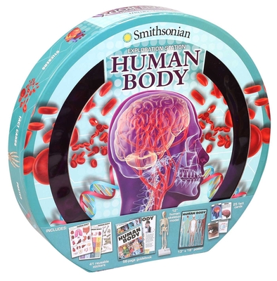 Exploration Station: The Human Body - Strother, Ruth