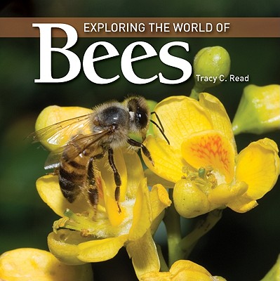 Exploring the World of Bees - Read, Tracy C