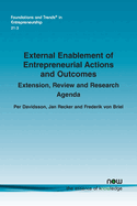 External Enablement of Entrepreneurial Actions and Outcomes: Extension, Review and Research Agenda