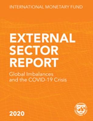 External Sector Report, 2020 - International Monetary Fund (Editor)