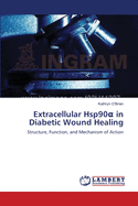 Extracellular Hsp90? in Diabetic Wound Healing