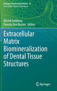 Extracellular Matrix Biomineralization of Dental Tissue Structures