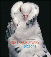 Extraordinary Pigeons