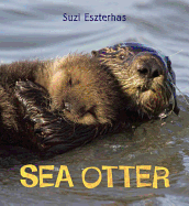 Eye on the Wild: Sea Otter