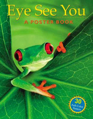 Eye See You: A Poster Book - Balmuth, Deborah L (Editor), and Guare, Sarah (Editor)