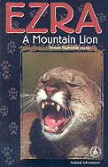 Ezra: A Mountain Lion