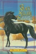 F1 Black Stallion