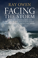 Facing the Storm: Using CBT, Mindfulness and Acceptance to Build Resilience When Your World's Falling Apart