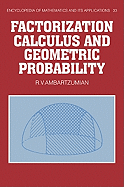 Factorization Calculus and Geometric Probability