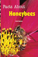 Facts about Honeybees: Individual Student Edition Turquoise