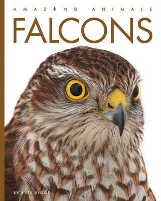 Falcons - Riggs, Kate