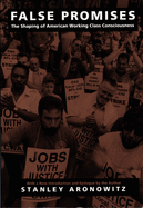 False Promises: The Shaping of American Working Class Consciousness
