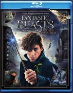 Fantastic Beasts and Where to Find Them [Blu-ray]