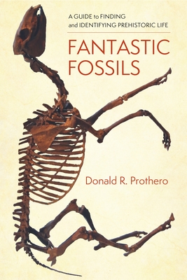 Fantastic Fossils: A Guide to Finding and Identifying Prehistoric Life - Prothero, Donald R