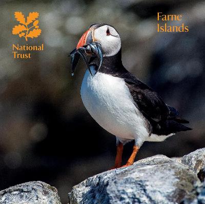 Farne Islands - Walton, John, and National Trust Books