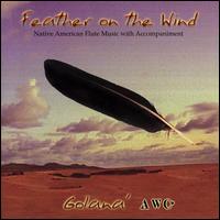 Feather On The Wind: Native American Flute Music With Accompaniment - Golan