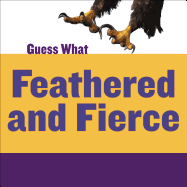 Feathered and Fierce: Bald Eagle