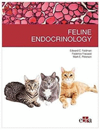 Feline endocrinology