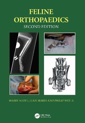 Feline Orthopaedics - Scott, Harry, and Marti, Juan M, and Witte, Philip