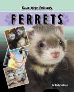 Ferrets