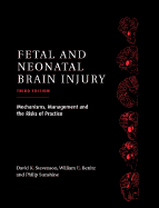 Fetal and Neonatal Brain Injury: Mechanisms, Management and the Risks of Practice