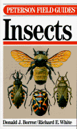 Field Gde T/Insects of America North of Mexico - Borror, Donald J, and Peterson, and Donald, J Borror, and Peterson, Roger Tory (Editor)