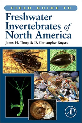 Field Guide to Freshwater Invertebrates of North America - Thorp, James H (Editor), and Rogers, D Christopher (Editor)