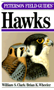 Field Guide to Hawks