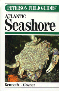 Field Guide to the Atlantic Seashore: From the Bay of Fundy to Cape Hatteras