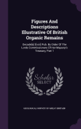 Figures And Descriptions Illustrative Of British Organic Remains: Decade[s] I[-xiii] Pub. By Order Of The Lords Commissioners Of Her Majesty's Treasury, Part 1