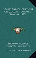 Figures And Descriptions On Canadian Organic Remains (1858)