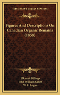 Figures and Descriptions on Canadian Organic Remains (1858)