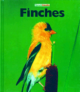 Finches - Sharth, Sharon