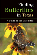 Finding Butterflies in Texas: A Guide to the Best Sites