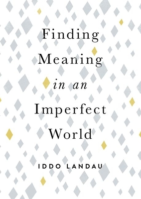 Finding Meaning in an Imperfect World - Landau, Iddo