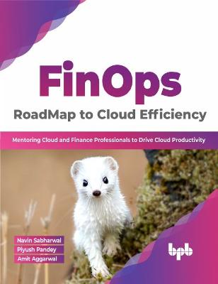 FinOps : RoadMap to Cloud Efficiency: Mentoring Cloud and Finance Professionals to Drive Cloud Productivity - Piyush Pandey, Navin Sabharwal