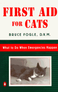 First Aid for Cats: What to Do When Emergencies Happen