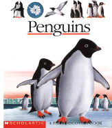 First Discovery: Penguins - Jeunesse, Gallimard