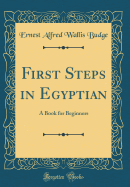 First Steps in Egyptian: A Book for Beginners (Classic Reprint)