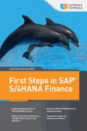 First Steps in SAP S/4hana Finance