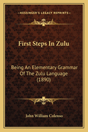 First Steps In Zulu: Being An Elementary Grammar Of The Zulu Language (1890)