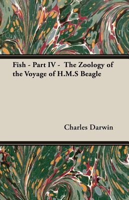Fish - Part IV - The Zoology of the Voyage of H.M.S Beagle; Under the Command of Captain Fitzroy - During the Years 1832 to 1836 - Darwin, Charles, and Jenyns, Leonard