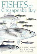 Fishes Chesapeake Bay PB