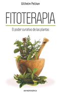 Fitoterapia: El poder curativo de las plantas