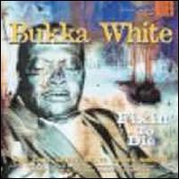 Fixin' to Die - Bukka White