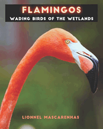 Flamingos: Wading birds of the wetlands